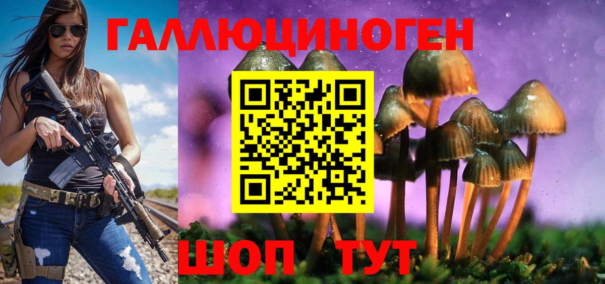 Галлюциногенные грибы Magic Shrooms Пенза