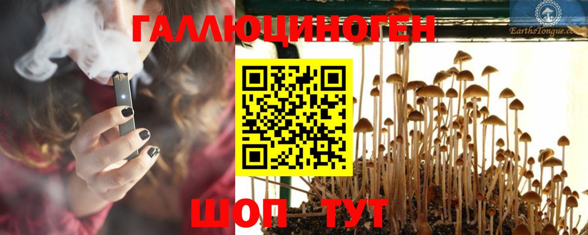 Псилоцибиновые грибы мицелий Пенза