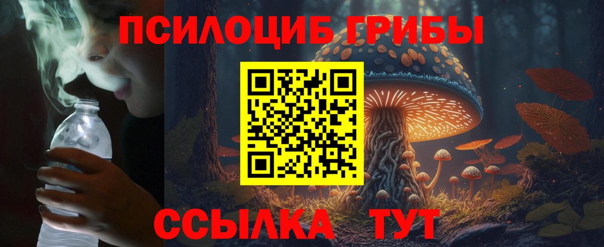 Псилоцибиновые грибы прущие грибы  Псилоцибиновые грибы MAGIC MUSHROOMS  Пенза  Вход с VPN 